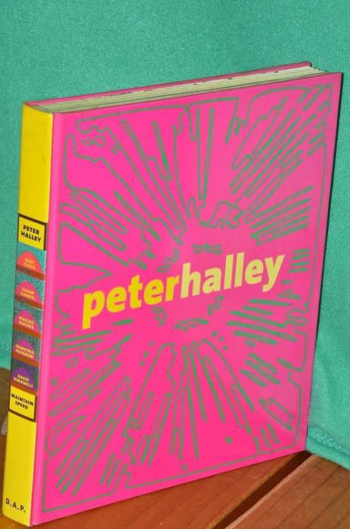 Peter Halley: Maintain Speed