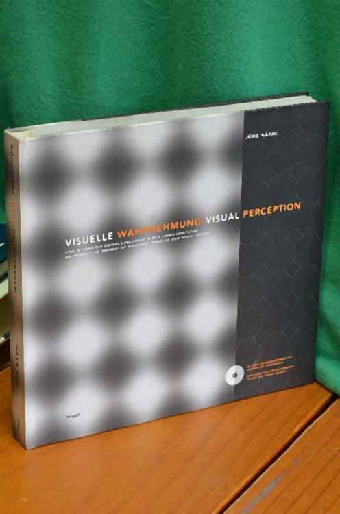 Visuelle Wahrnehmung Visual Perception