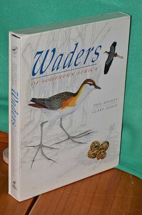 Waders of Southern Africa