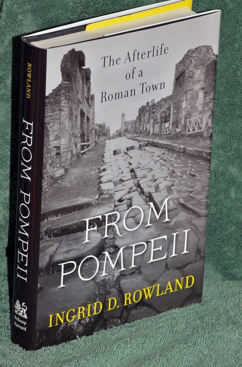 From Pompeii: the Afterlife of a Roman Town