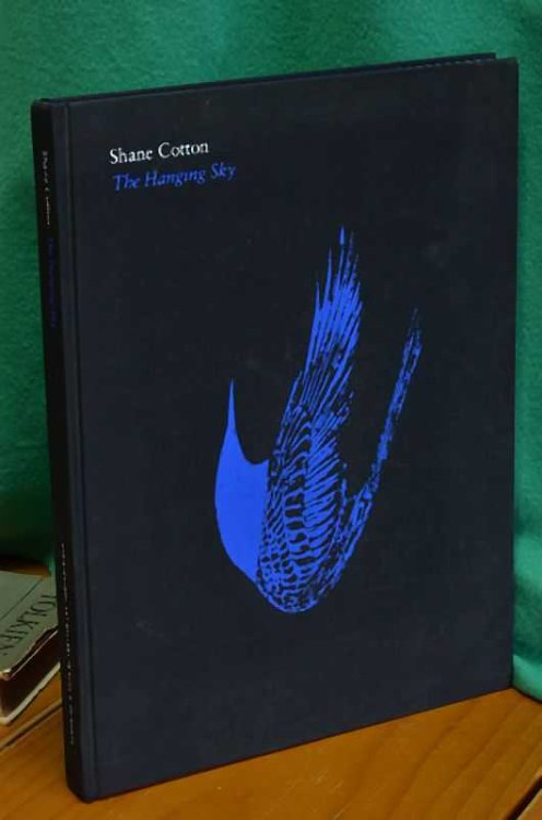 Shane Cotton: The Hanging Sky