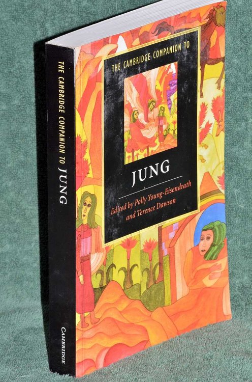 The Cambridge Companion To Jung