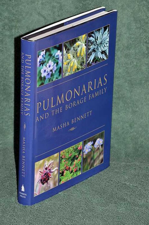 Pulmonarias and the Borage Family