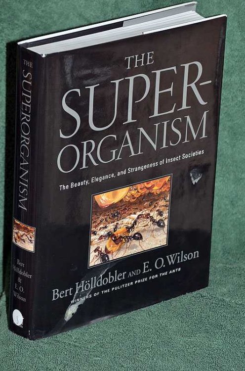 The Superorganism: The Beauty, Elegance, and Strangeness of Insect Societies