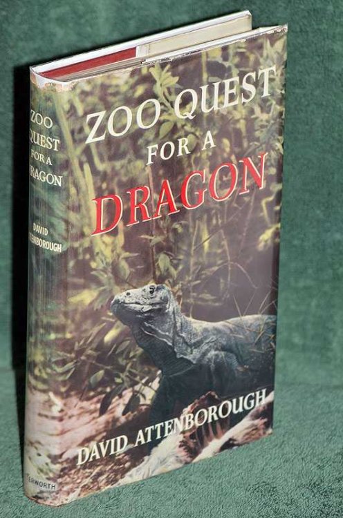 Zoo Quest For a Dragon