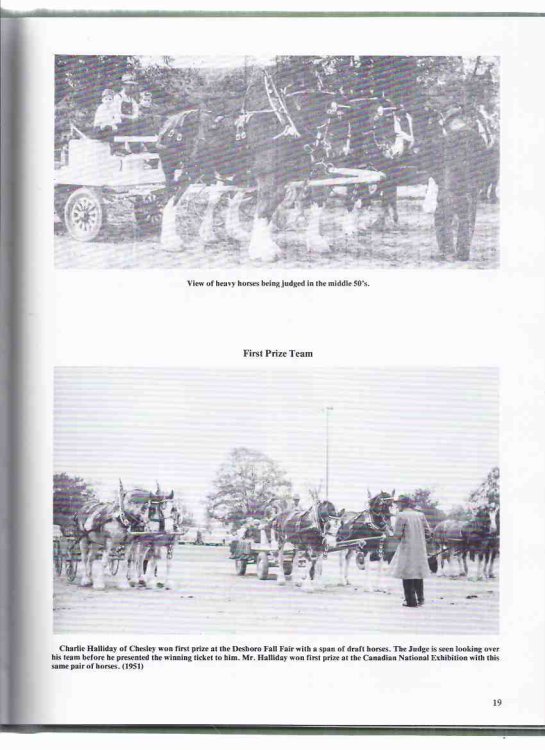 The 125th Anniversary of the Desboro Fall Fair / Desboro Agricultural Society Committee ( Chatsworth Township, Grey County, Ontario History )