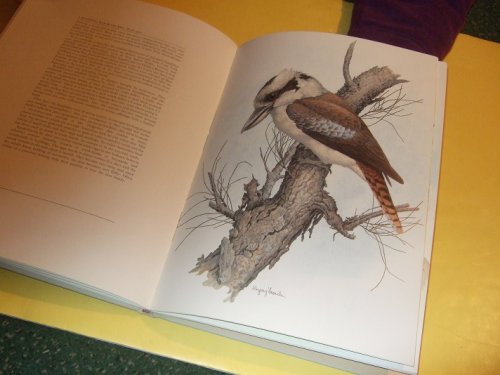 A Wild Heritage of Western Australia: Watercolours of Birds, Mammals and Wildflowers By Bryony Fremlin ( Australian Wildlife / Flora - Fauna )( Watercolors )
