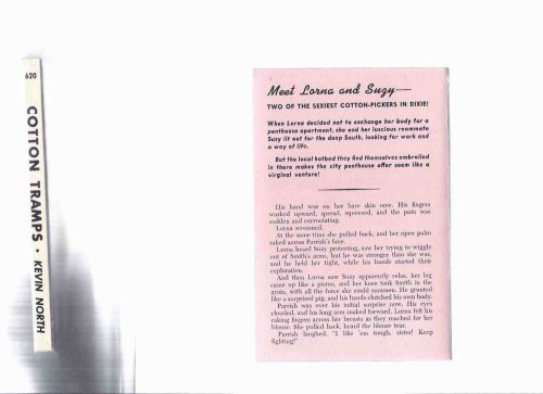 way down in the deep south meet the ---COTTON TRAMPS -a story of greed and lust on a plantation and the shocking impact of sexual conflict