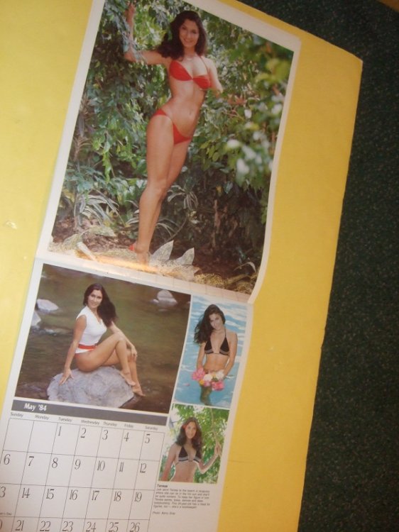 Sunshine Girl Calendar 1984 / The ( Toronto ) Sun ( Sunshine Girls ) (with Large Fold-out Poster of Cherie ( Currie ), Miss Nude World )