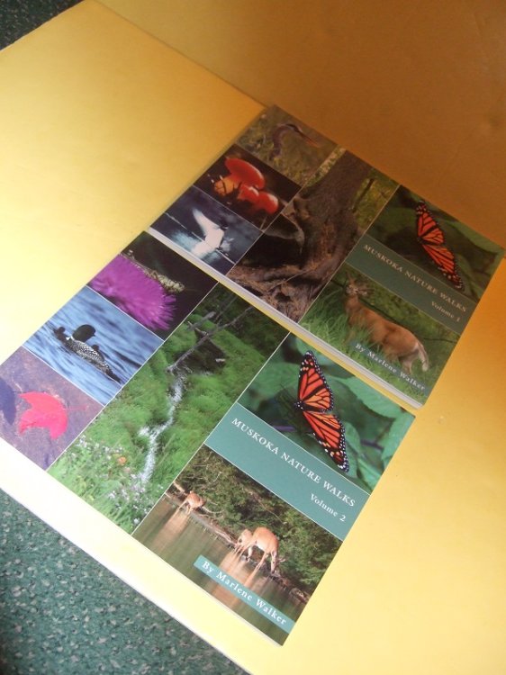 TWO VOLUMES: Muskoka Nature Walks, Book 1 & 2 -by Marlene Walker -both Signed By the Author ( Natural History / Ontario )