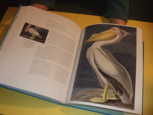 Audubon's Aviary: The Original Watercolors for The Birds of America ( John James Audubon /A's Innovations and the Traditions of Ornithological Illustration; Drawing Birds; Highlights; Chronology of A's Life; etc)