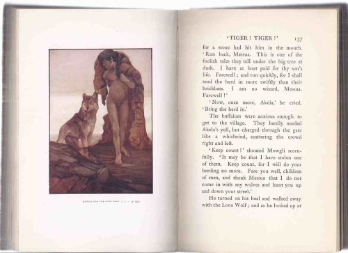 The Jungle Book -by Rudyard Kipling / Illustrations - Illustrated By Maurice and Edward Detmold (includes The Parade Song of the Camp Animals )