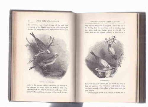 Days with Industrials: Adventures and Experiences Among Curious Industries, with Numerous Illustrations (includes Chapters on: Quinine; Diamonds, Salt, Ale, Canaries, Whistles, the Telegraph, Postage Stamps, Arsenic, Pearls, Amber, etc)