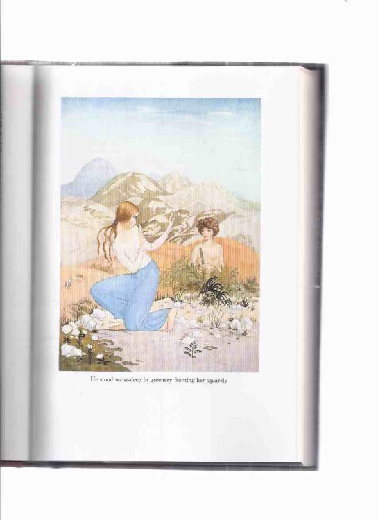 The Crock of Gold -by James Stephens / Illustrations - Illustrated By Thomas MacKenzie / MacMillan Facsimile Classics Series