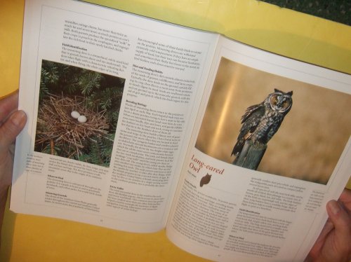 Wild Birds Across the Prairies ( Northern Prairie Grasslands inc. Alberta, Saskatchewan; Manitoba; Montana; North - South Dakota; Nebraska; Minnesota; Iowa; Wyoming )( Canada / USA - United States of America )