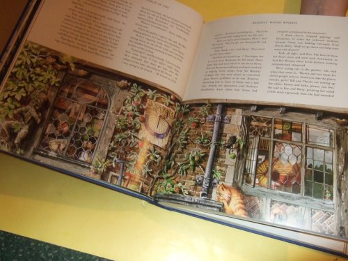 Harry Potter and the Goblet of Fire -book 4 of the Series -by J K Rowling, Illustrated / Illustrations By Jim Kay ( Volume Four )( The 1st Bloomsbury Illustrated Edition )