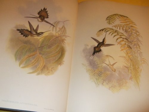 John Gould's Hummingbirds: The Complete Renowned Original Edition with the 1861 Supplement - 418 Full Page Plates in Full Colour ( John Gould English Ornithologist / Bird Paintings / Illustrations )((includes 74 Pages of Notes Each Species )
