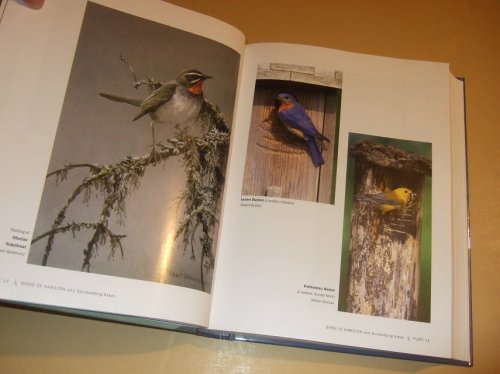 Birds of Hamilton and Surrounding Areas, Including All or Parts of Brant, Halton, Haldimand, Niagara, Norfolk, Peel, Waterloo and Wellington: Hamilton Naturalists Club (Ontario / county )
