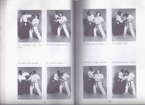 High Impact Jiu-Jitsu by Don Jacob ( 1985 1st Edition )( Purple Dragon - Don-Jitsu-Ryu System )