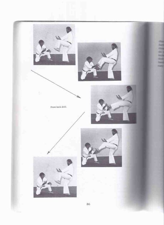 KUMITE: The Complete Fighting Text -by Arthur Rabesa ( Karate / Open Hand / Grappling )