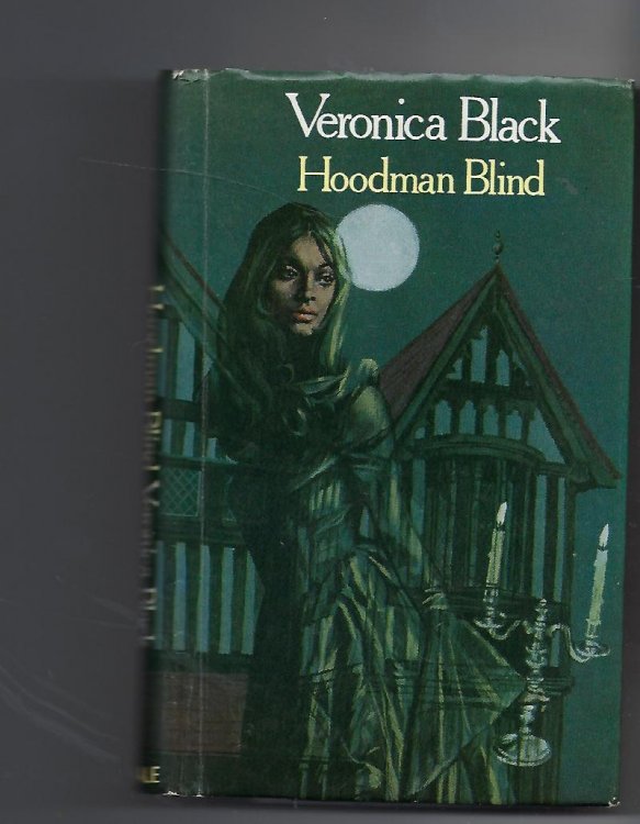 Hoodman Blind