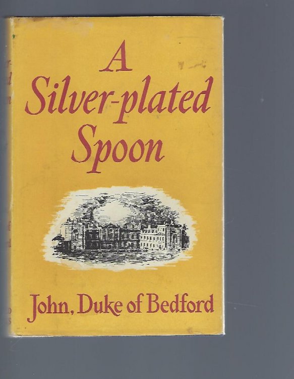 A Silver-Plated Spoon:
