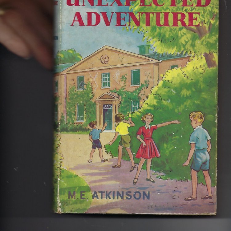 Unexpected Adventure
