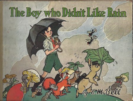 The Boy Who Didnt like Rain