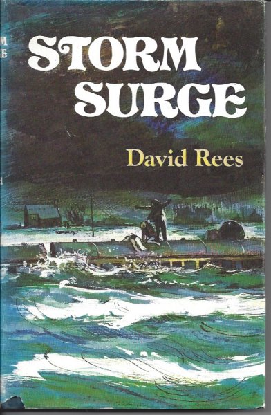 Image for Storm Surge Storm Surge