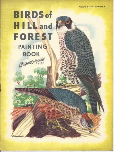 Birds of Hill and Forest Painting Book Nature Series Number 8
