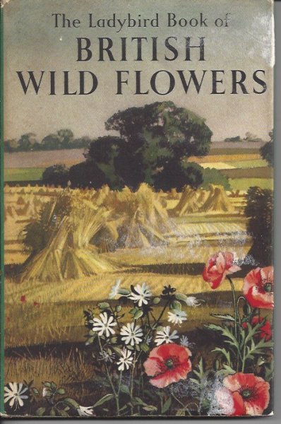 British Wild Flowers