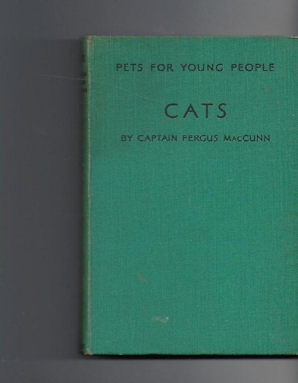 Cats (Pets for Young People)