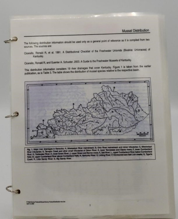 FIELD SURVEY PROTOCOL FOR MUSSELS IN KENTUCKY (FIELD IDENTIFICATION GUIDE FOR MUSSELS IN KENTUCKY)
