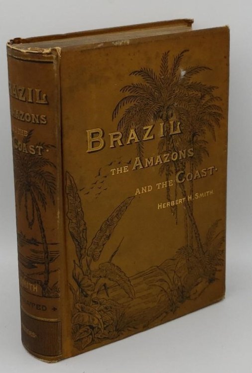 BRAZIL: THE AMAZONS AND THE COAST