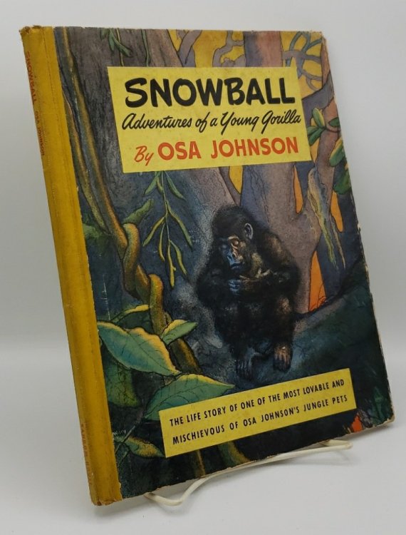 SNOWBALL ADVENTURES OF A YOUNG GORILLA
