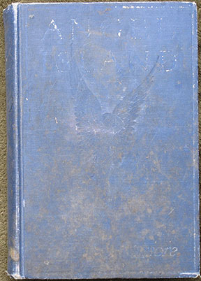 Angel Island. With Two Illustrations by John Rae.
