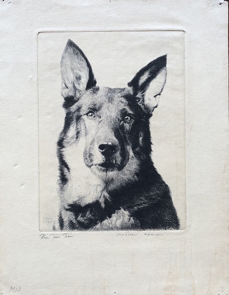 Rin Tin Tin.
