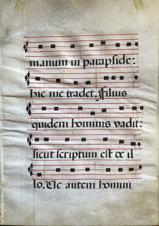 A Manuscript Antiphonal Leaf, Spain, 16th Century.
