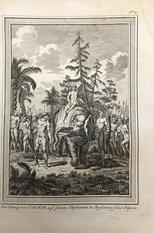 Der Koenig von COCHIN auf seinem Elephanten in Begleitung seiner Nayros.
