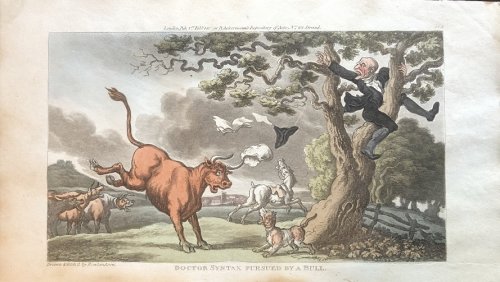 Doctor Syntax Pursued by A Bull. [From: The Tour of Doctor Syntax In Search of the Picturesque. A Poem. 7th Edition with new Plates].