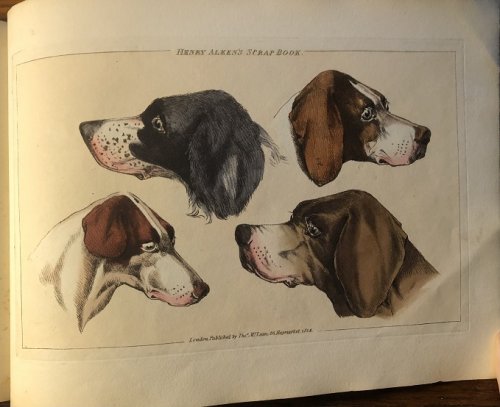 The Sporting Scrap Book. Thirty Coloured Plates.