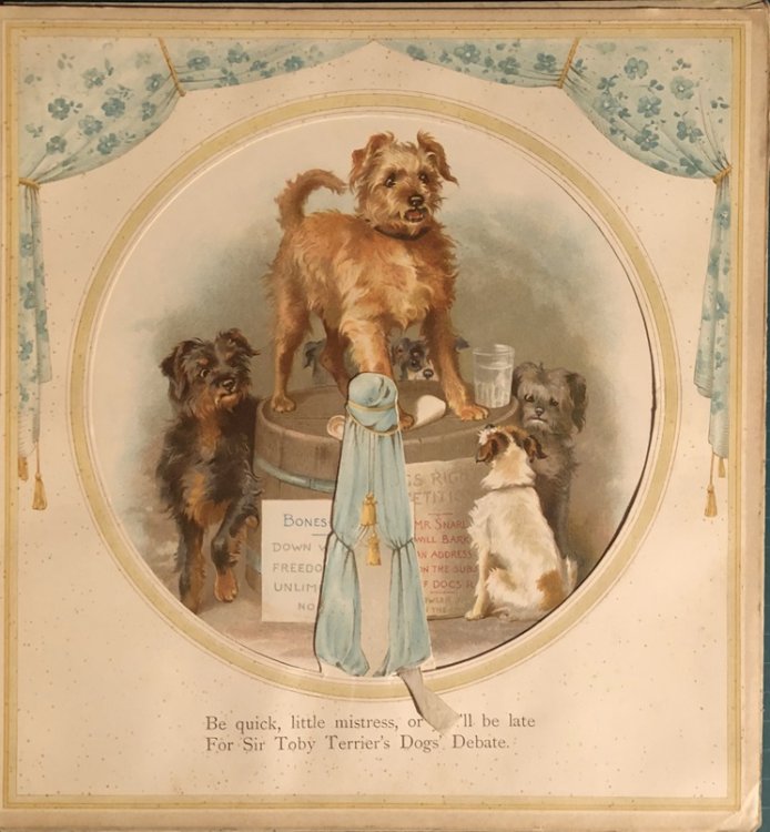 Revolving Pictures. A Novel Colour Book. With Dioramic Effects.