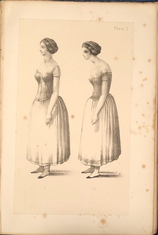 Health and Beauty; or, Corsets and Clothing, constructed in Accordance with the Physiological Laws of the Human Body.