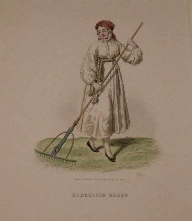 Attractive original engraving of Herrestad Harad. Woman from Herrestad Harad.