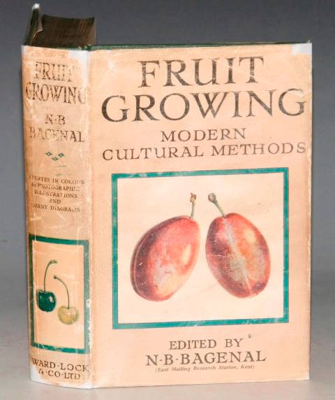 Fruit Growing. Modern Cultural Methods.