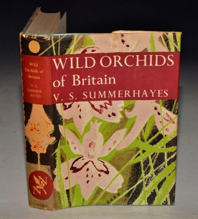 Wild Orchids of Britain. (19) With a key to the species. (The New Naturalist 19). With 61 photographs in colour by Robert Atkinson and others. 39 photographs in black and white 19 text figures and 43 distribution maps.