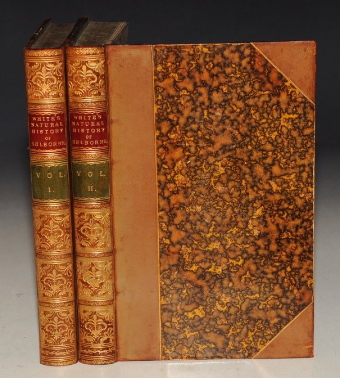 The Natural History of Selborne. To which are added, The Naturalist’s Calendar, Miscellaneous Observations, and Poems. A New Edition, With Engravings. In Two Volumes.