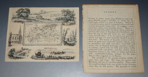 ORIGINAL ENGRAVED ANTIQUE MAP OF SURREY. from Reuben Ramble's Travels Through the Counties of England. Pseudonym of Reverend Samuel Clarke