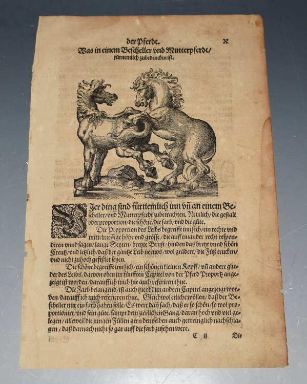 EARLY Woodcut Illustration of Horse & a Stallion Ritterliche Reutter Kunst