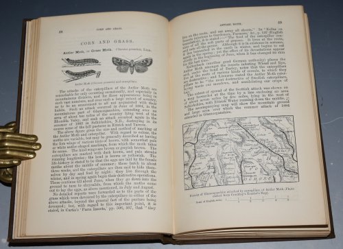 A Manual of Injurious Insects, With methods of Prevention and Remedy for their attacks to Food Crops, Forest trees, and Fruit. To which is appended a Short Introduction to Entomology. Second edition.